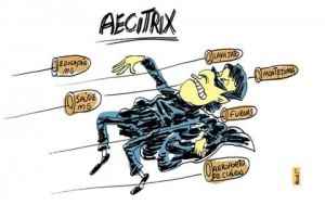 13312823_480599615475275_5540084415060257794_n