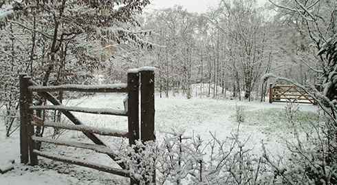 winter-snow-banner_117711_2