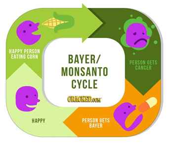 bayermonsanto3