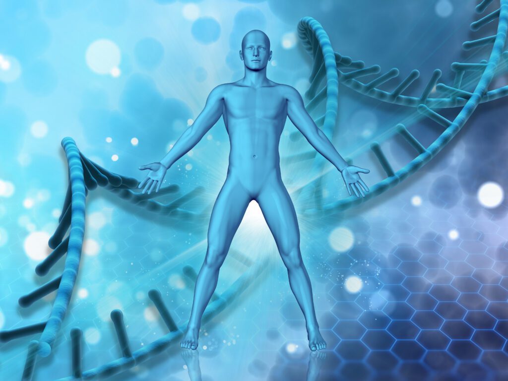 Pessoas com obesidade sarcopênica apresentaram risco significativamente maior de desenvolver diabetes do que aquelas com obesidade isolada.