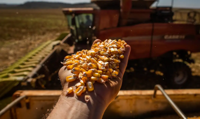 Safra histórica confirma a força do Brasil no agronegócio, com aumento de área plantada e produção recorde de soja, milho e arroz em todo o país.