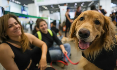 Projeto de lei no RJ garante o direito de permanência de cães assistenciais em locais públicos e privados, promovendo mais autonomia e inclusão para pessoas com deficiência / Inclusão com cães guia