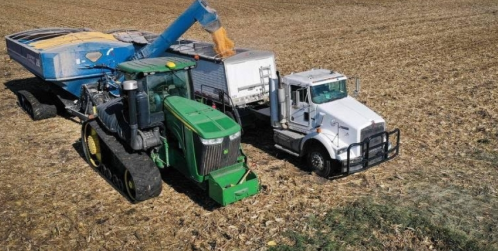 Enquanto economia geral cresce e riqueza se concentra, os trabalhadores rurais enfrentam colheitas sem compradores e assistência insuficiente.