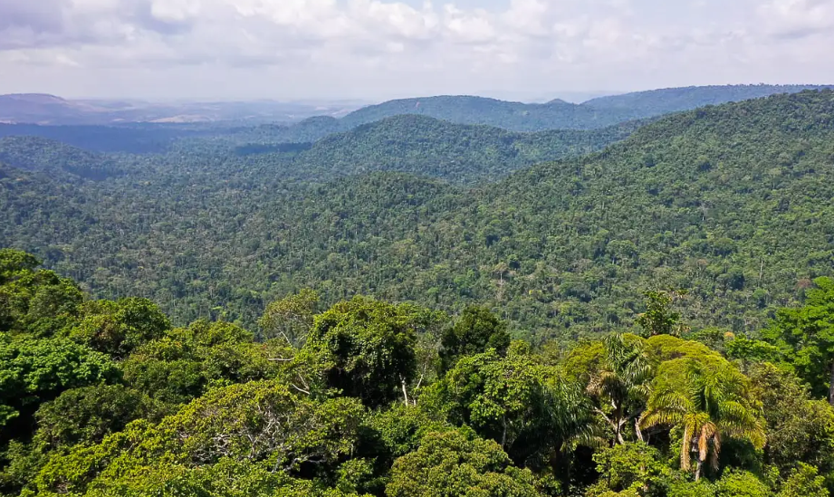 A restauração envolve áreas indígenas, unidades de conservação e propriedades privadas com CAR validado, garantindo rastreabilidade e segurança jurídica.