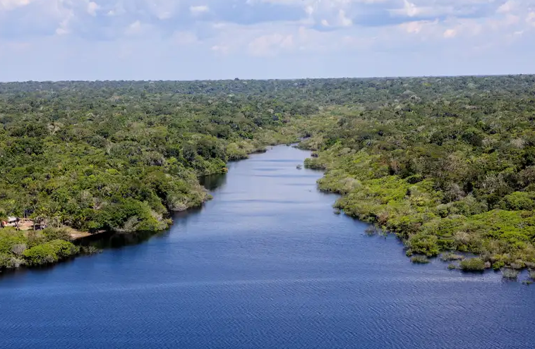 Terras Indígenas e Unidades de Conservação concentraram quase 2 milhões de hectares em regeneração natural, revelando o papel decisivo de povos tradicionais.
