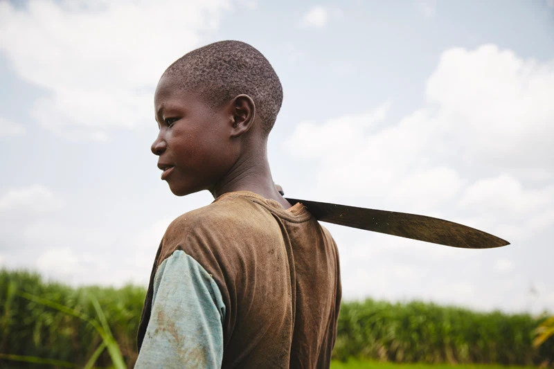 A revolução digital só será real quando cada Elly puder aprender, criar e ensinar em sua própria língua — sem pedir permissão.
