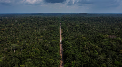 Incêndios e desmatamento recordes colocam a Amazônia à beira do colapso, enquanto políticas públicas tentam proteger povos e ecossistemas.