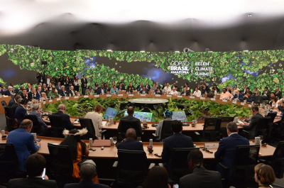 Para salvar as florestas tropicais do mundo, aprenda com o Brasil.