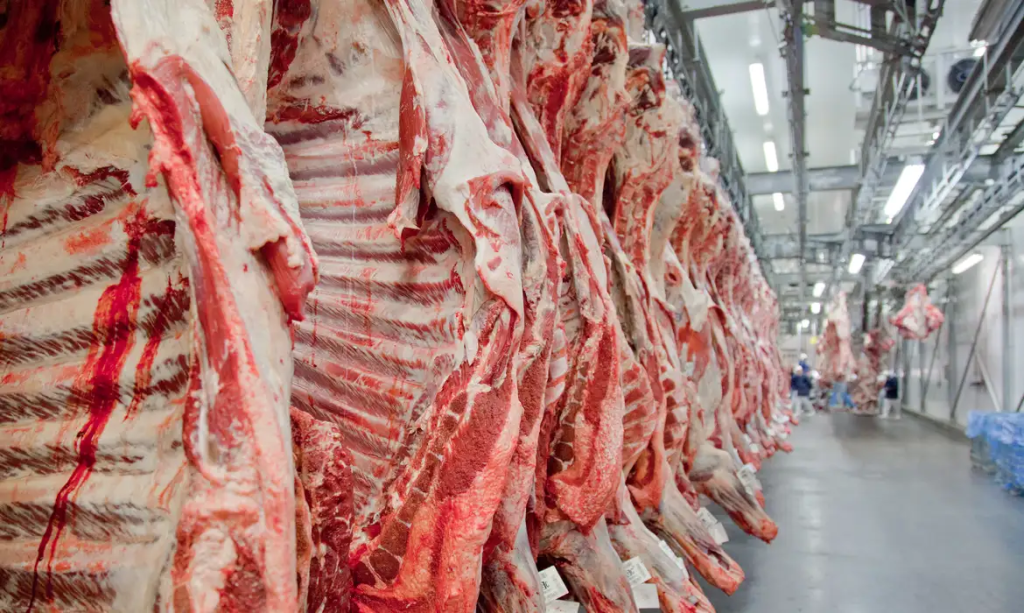 Portos contribuíram para exportação recorde de carne bovina brasileira em 2025
