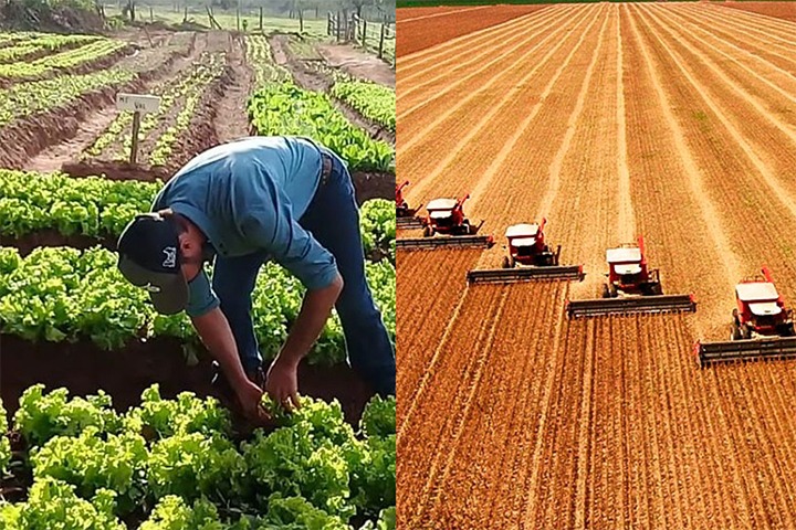 Inadimplência no agro sobe para 8,2% e expõe pressão crescente sobre produtores rurais