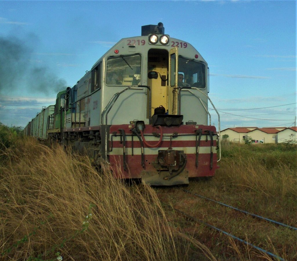 Trem cargueiro da Transnordestina no Piauí. Foto: Moacir Ximenes