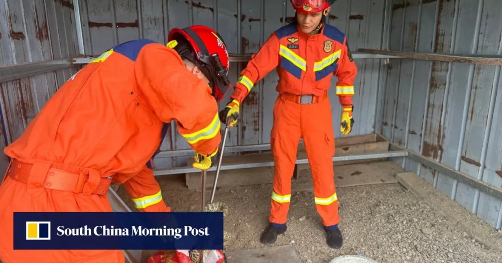 Bombeiros lidam com uma cobra em Beijing, onde o aumento da temperatura e umidade tem levado a mais avistamentos de répteis n