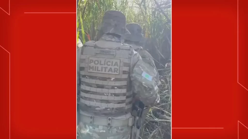 Policiais militares em operação na vegetação de Brazlândia, DF. (Foto: g1.globo.com)