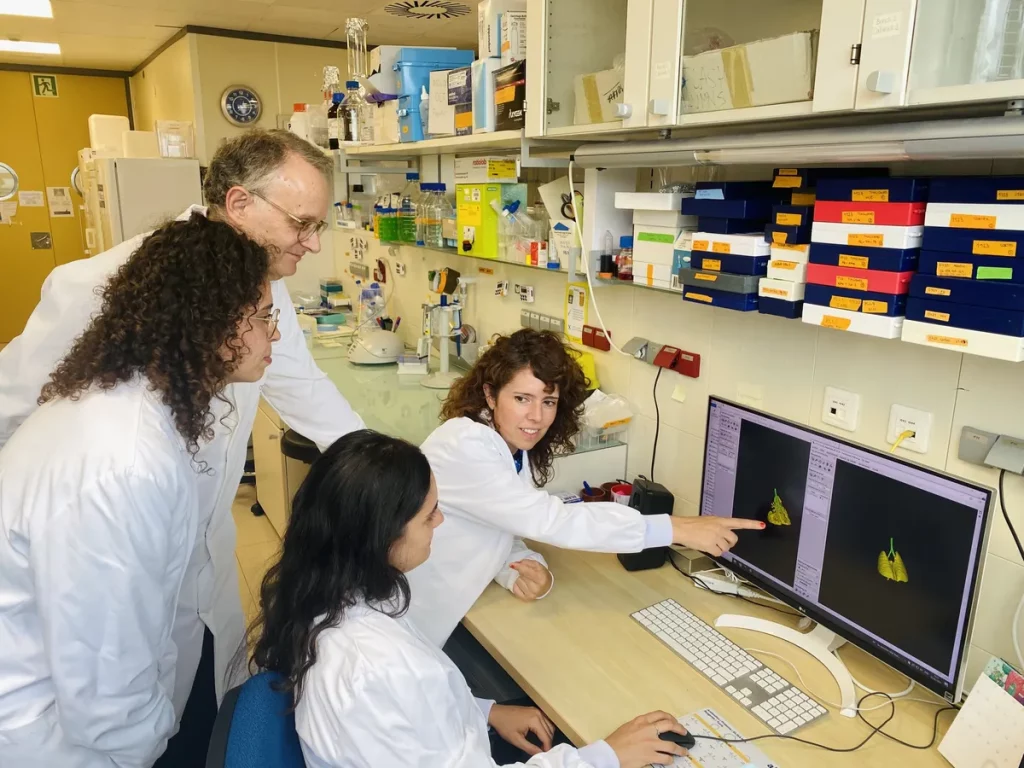 Pesquisadores analisam imagem de pulmões em monitor no laboratório. (Foto: phys.org)