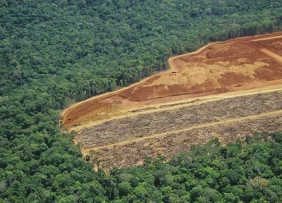 Área desmatada na Amazônia, com vegetação remanescente ao lado. (Foto: cartacapital.com.br)
