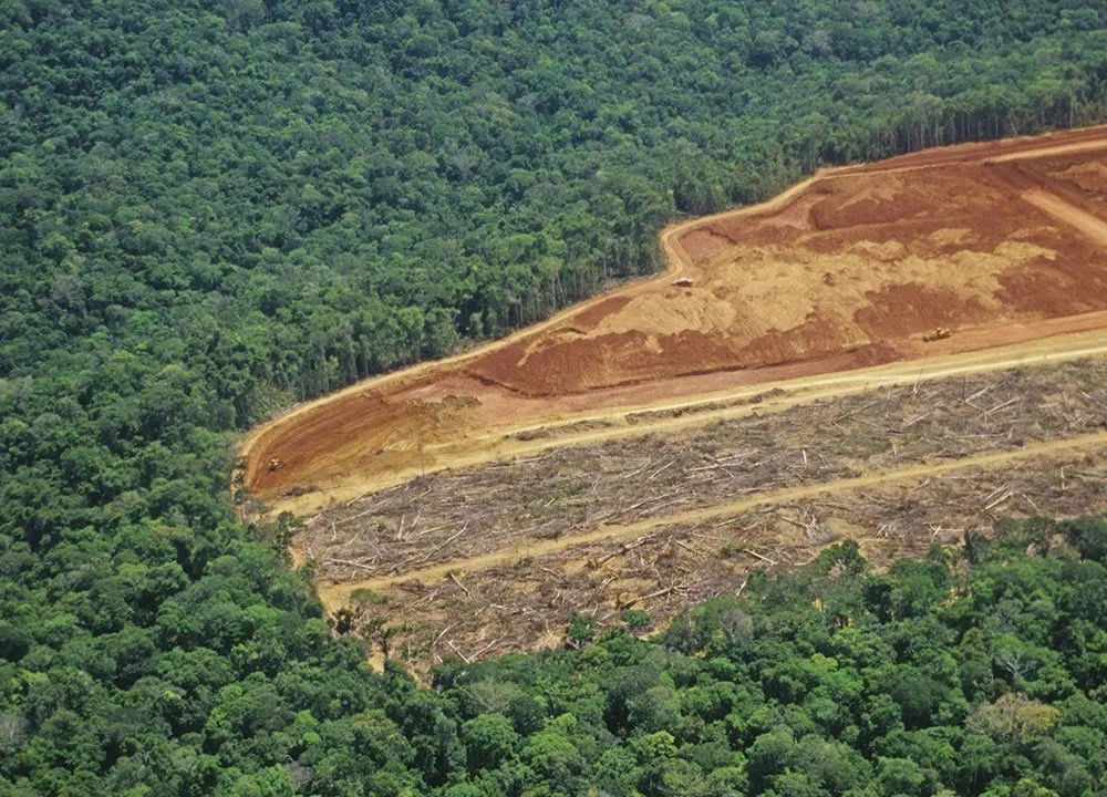 Área desmatada na Amazônia, com vegetação remanescente ao lado. (Foto: cartacapital.com.br)