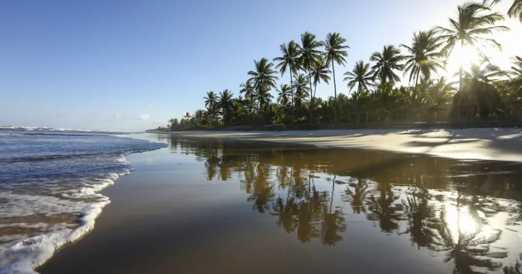 Praia com palmeiras e reflexo no mar em um dia ensolarado no Nordeste brasileiro. (Foto: https://www.ocafezinho.com/2026/04/1