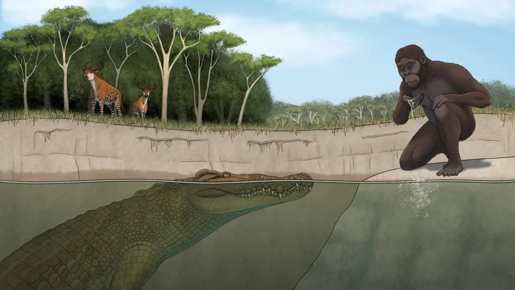 Ilustração de um crocodilo pré-histórico ameaçando um ancestral humano perto de um rio, com animais selvagens ao fundo. (Foto