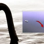 Imagem divulgada por 1045theteam.com