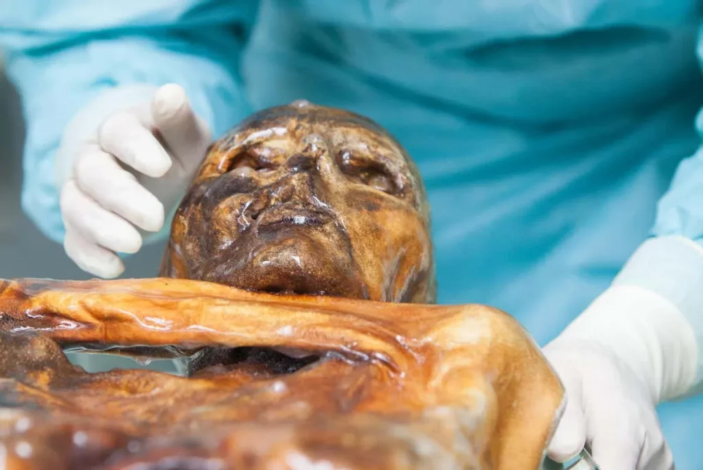 Restos de Ötzi o Homem do Gelo são examinados em laboratório. (Foto: newscientist.com)