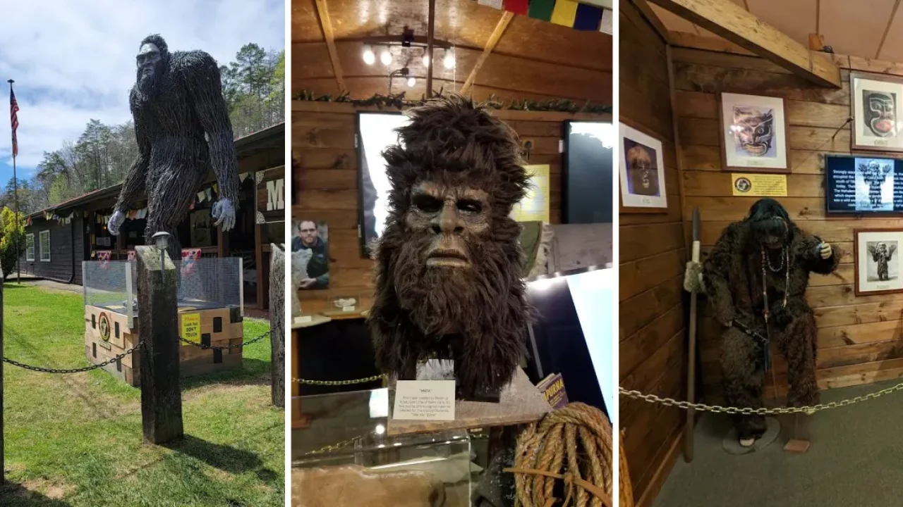 Expedition: bigfoot! - O museu do sasquatch na Geórgia que desafia