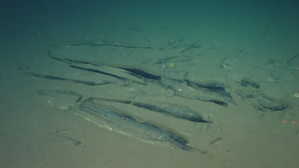 Fósseis de baleias encontrados no fundo do Oceano Índico, parte do "megasite" descoberto pelos cientistas. (Foto: livescience