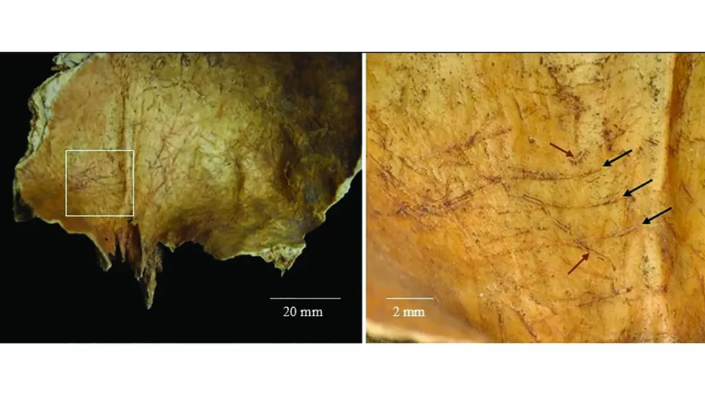 Detalhes de ossos antigos com marcas de corte, evidenciando ritual funerário na Escócia há 2.000 anos. (Foto: livescience.com