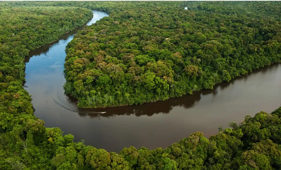 Vista aérea da Amazônia com rio serpenteante e densa vegetação. (Foto: criterio.hn)