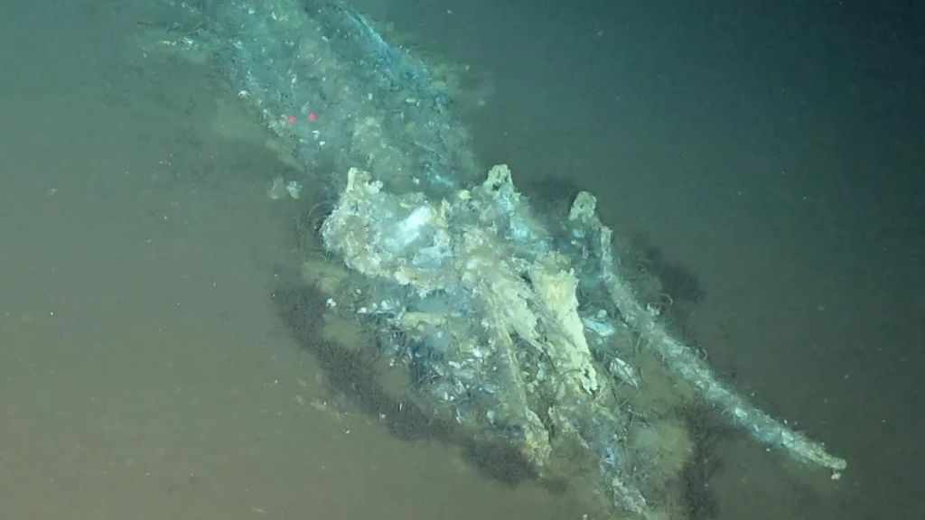 Esqueleto de baleia no fundo do Oceano Índico, parte da necrópole descoberta por cientistas chineses. (Foto: france24.com)